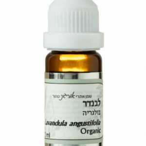 לבנדר בלוגריה